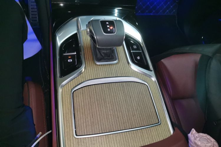 HongQi E-HS9 2023 car image #14