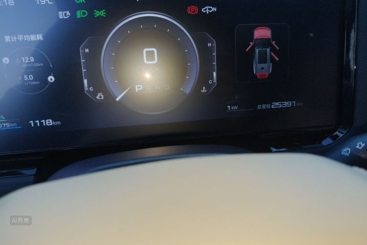 FangChengBao Leopard 8 2024 immagine di auto #14