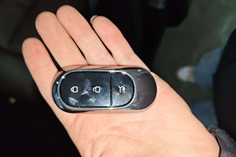 Leapmotor C11 2023 car image #14
