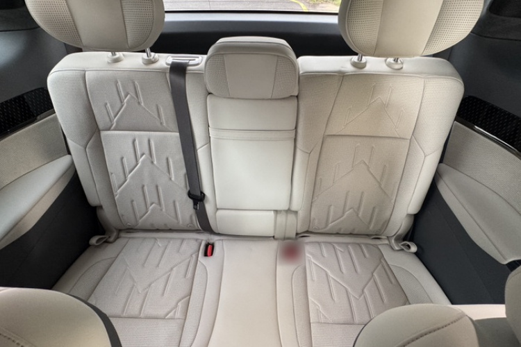 极氪 极氪009 2024 汽车图片 #14