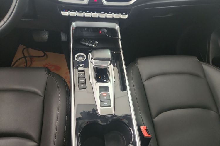 Showjet Pro 2021 car image #14