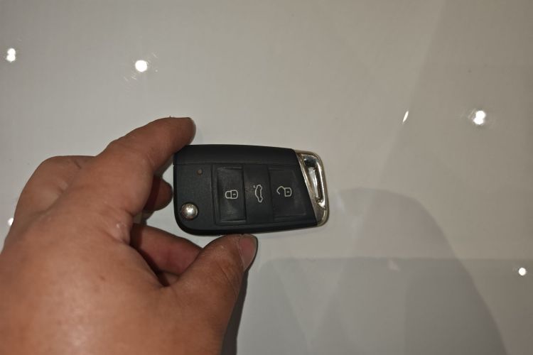 Volkswagen Lamando 2021 car image #14