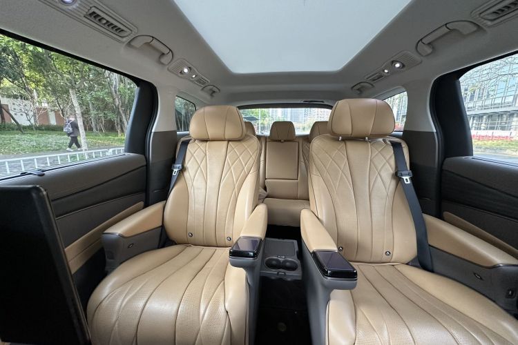 Denza D9 2023 imagem de carro #14