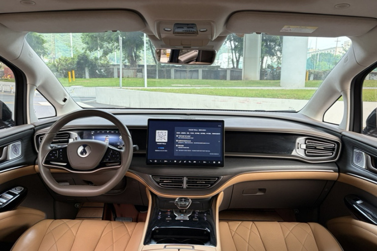 Denza D9 2023 imagen de coche #14