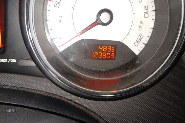 标致 标致308(进口) 2012 汽车图片 #14