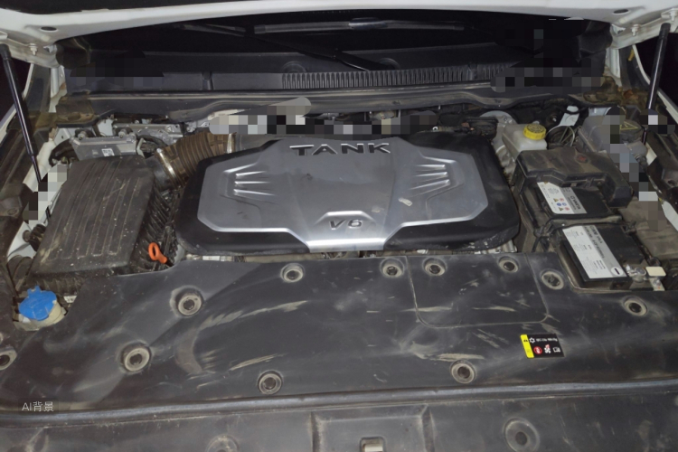 坦克 坦克500 2022 汽车图片 #14