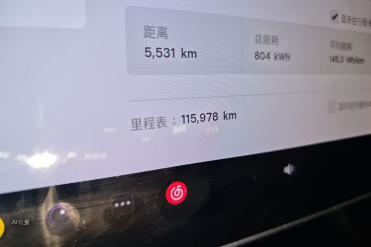 特斯拉 Model 3(进口) 2019 汽车图片 #14