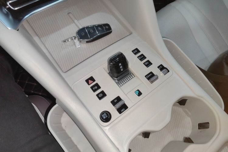 BYD Song Plus New Energy 2025 immagine di auto #14