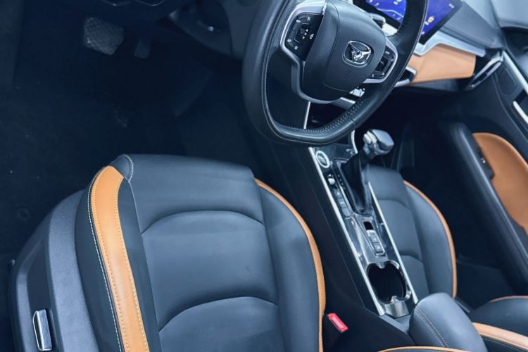 Showjet Pro 2021 car image #14