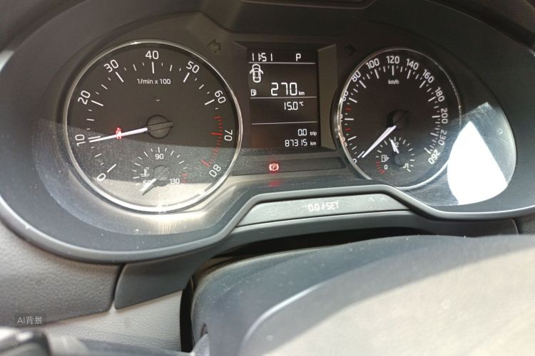 Skoda Octavia 2014 car image #14