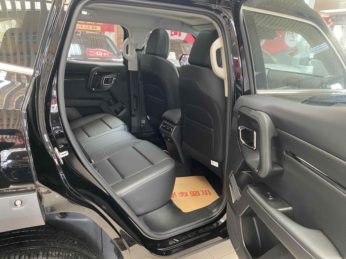 Haval X Dog 2 New Energy 2024 car image #14