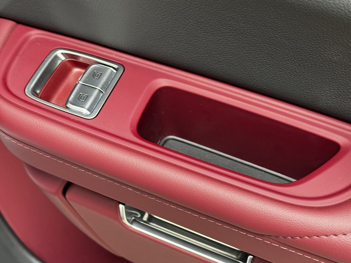 HongQi E-HS9 2021 #14 HongQi E-HS9 2021 immagine di auto #14