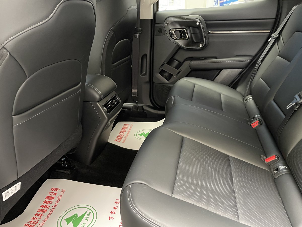 Haval X Dog 2 New Energy 2024 car image #14