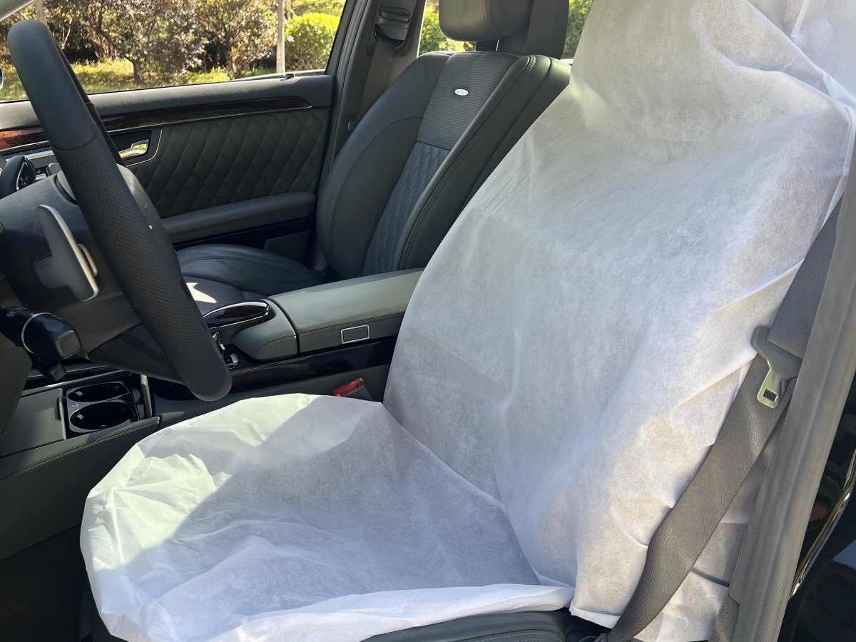 Mercedes-Benz S AMG 2009 car image #14