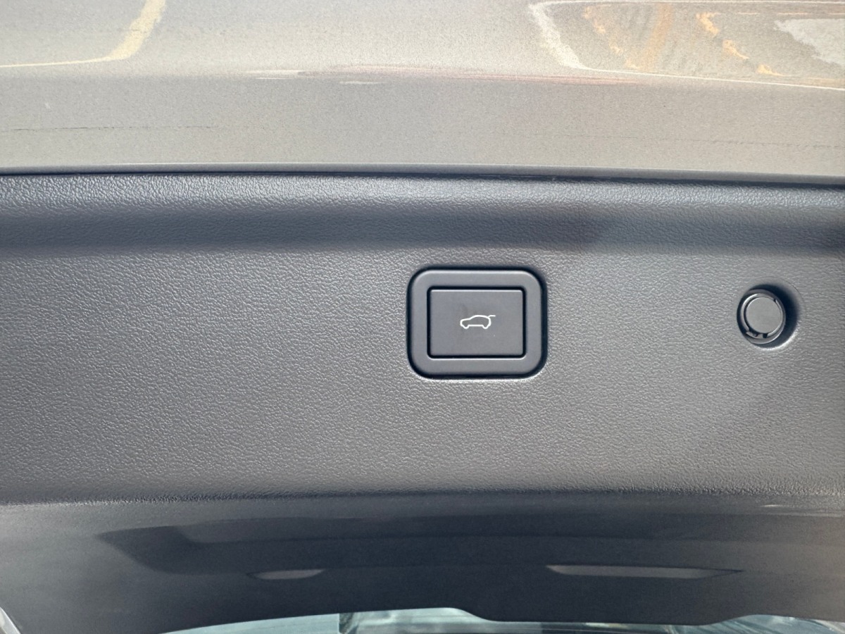 Haval X Dog 2 New Energy 2024 car image #14