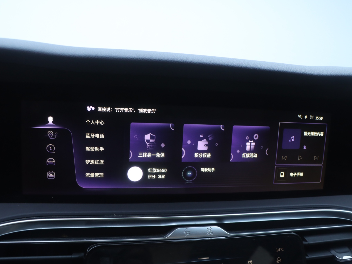 HongQi E-HS9 2023 car image #14