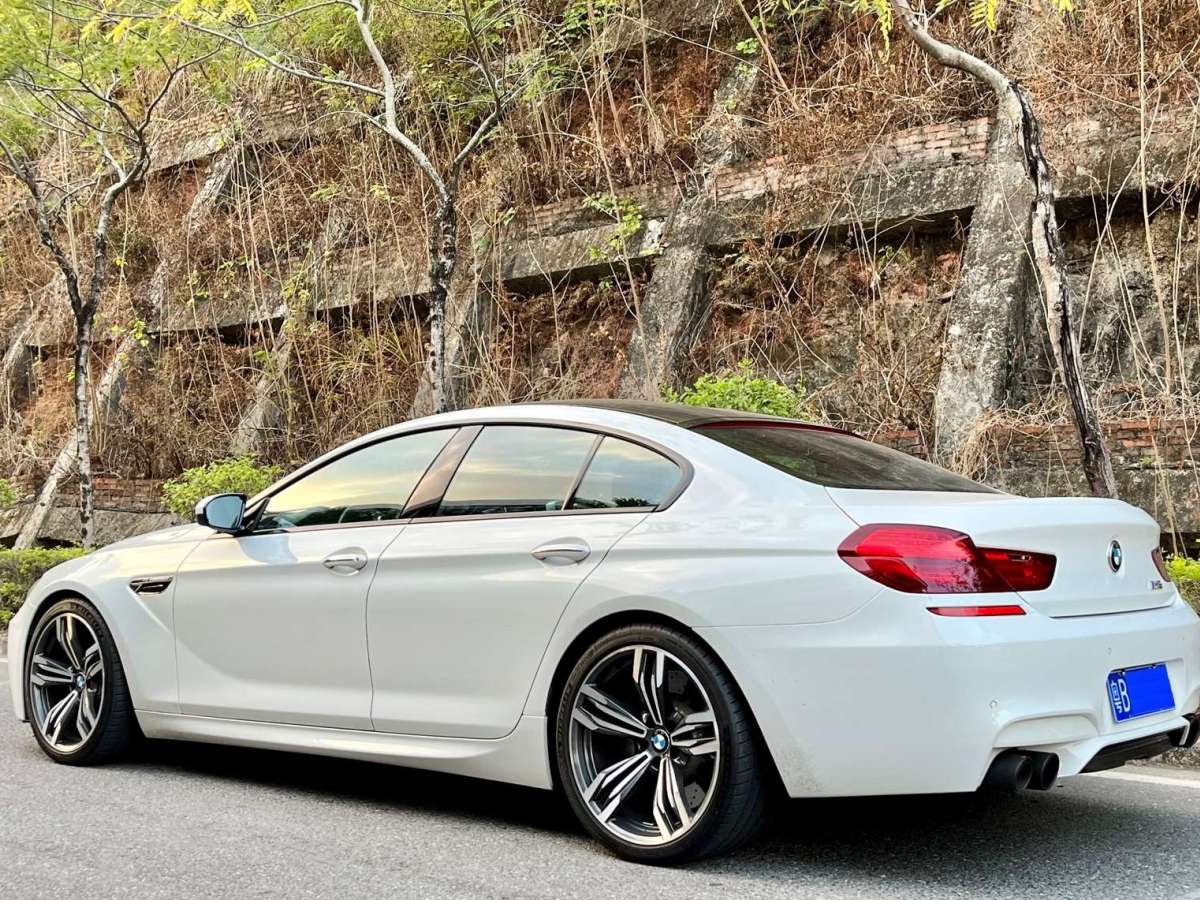 BMW M6 2015 car image #14