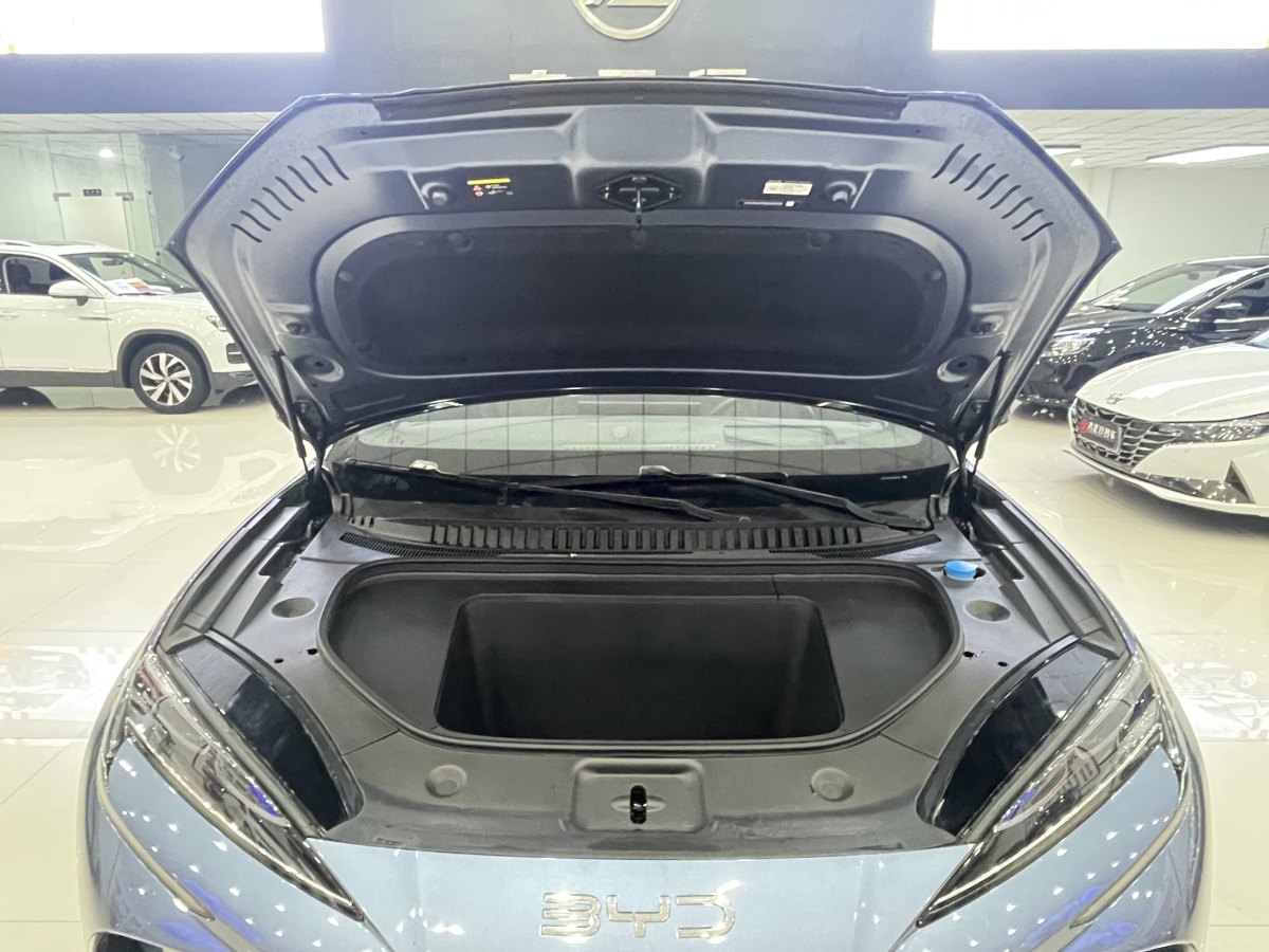 BYD Sea Lion 07 EV 2024 car image #14