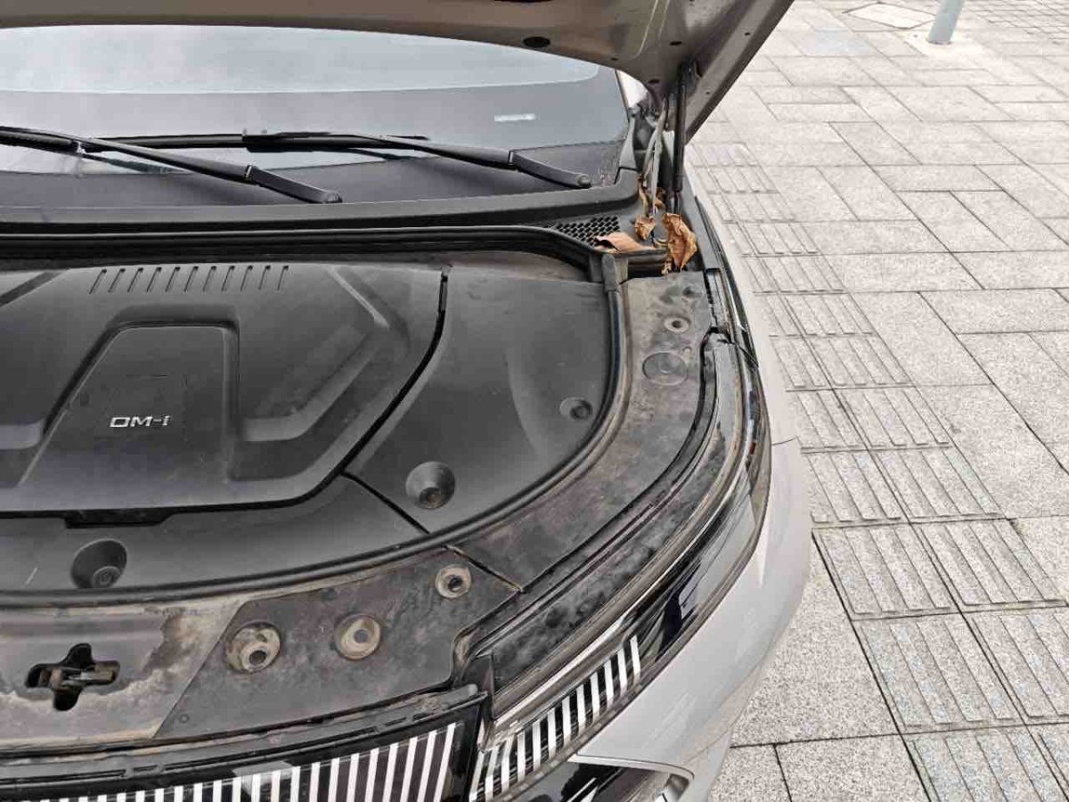 BYD Frigate 07 2023 #14 BYD Frigate 07 2023 immagine di auto #14