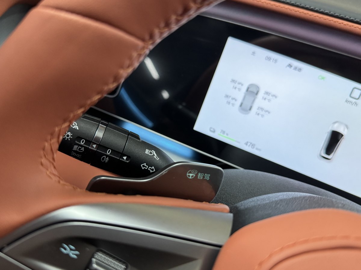 BYD Sea Lion 07 EV 2025 car image #14