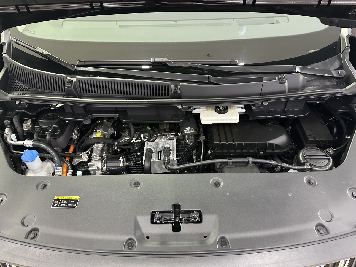 HongQi HQ9 PHEV 2024 car image #14