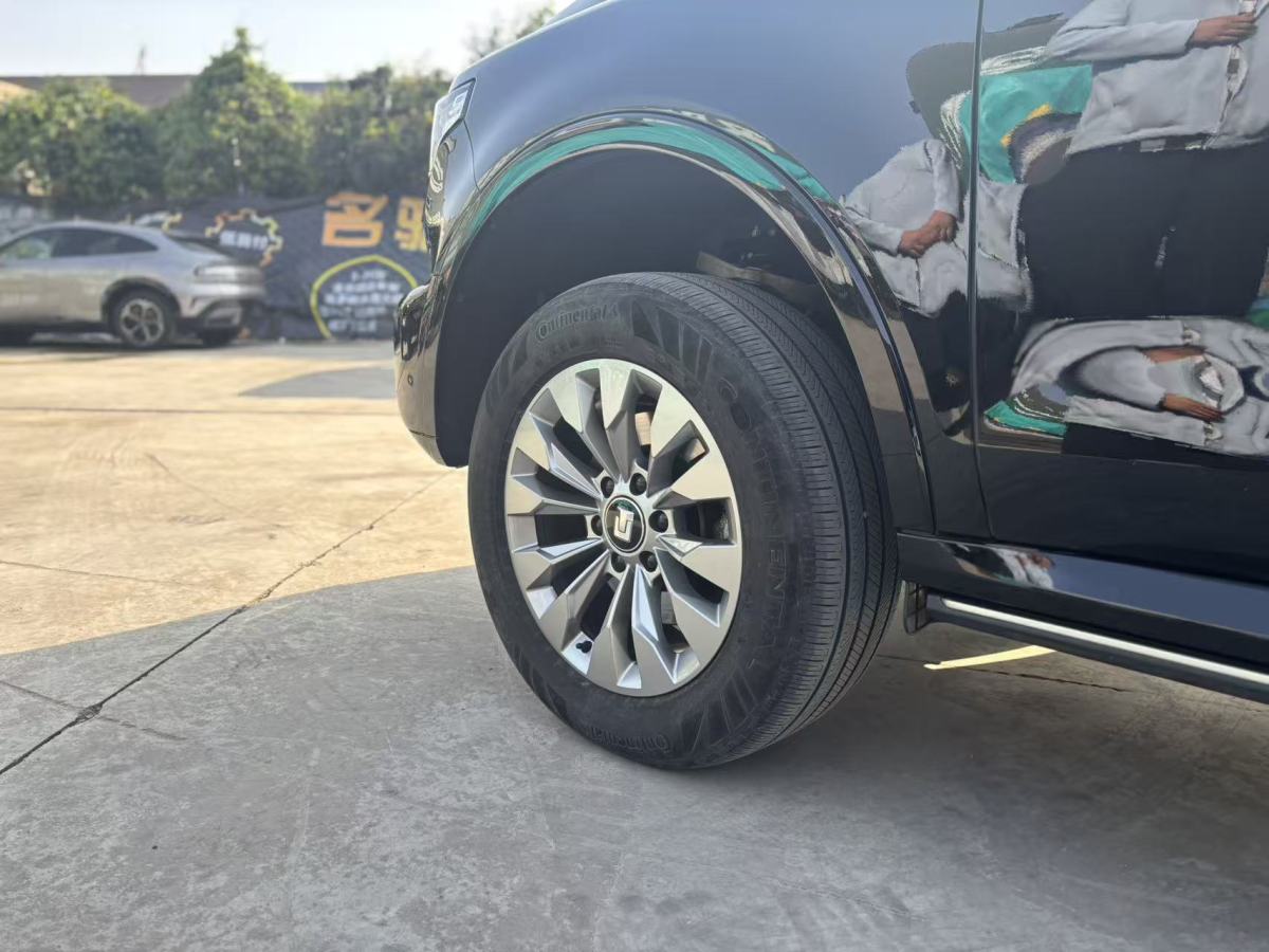 Tank 500 New Energy 2024 car image #14