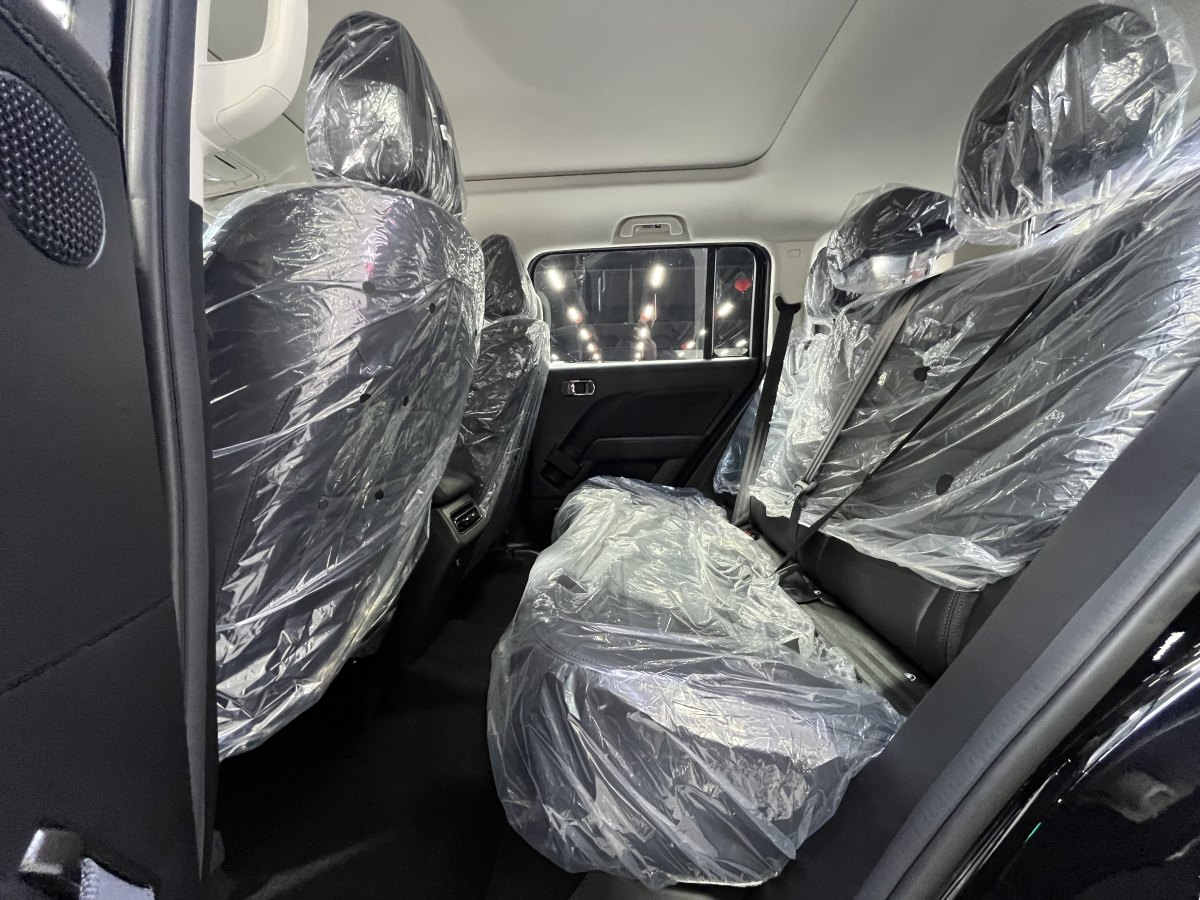 Haval Raptor 2025 car image #14