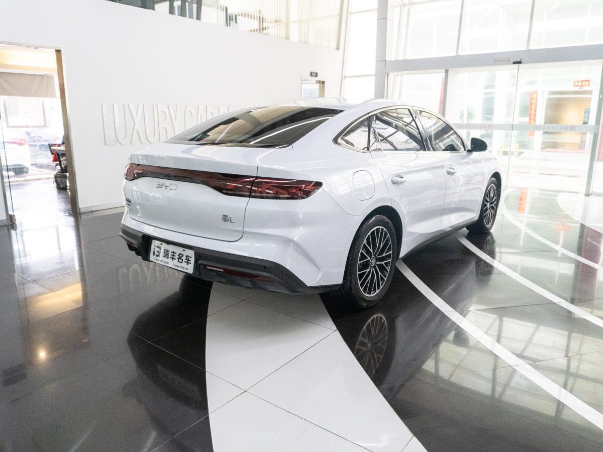 BYD M9 2024 car image #14