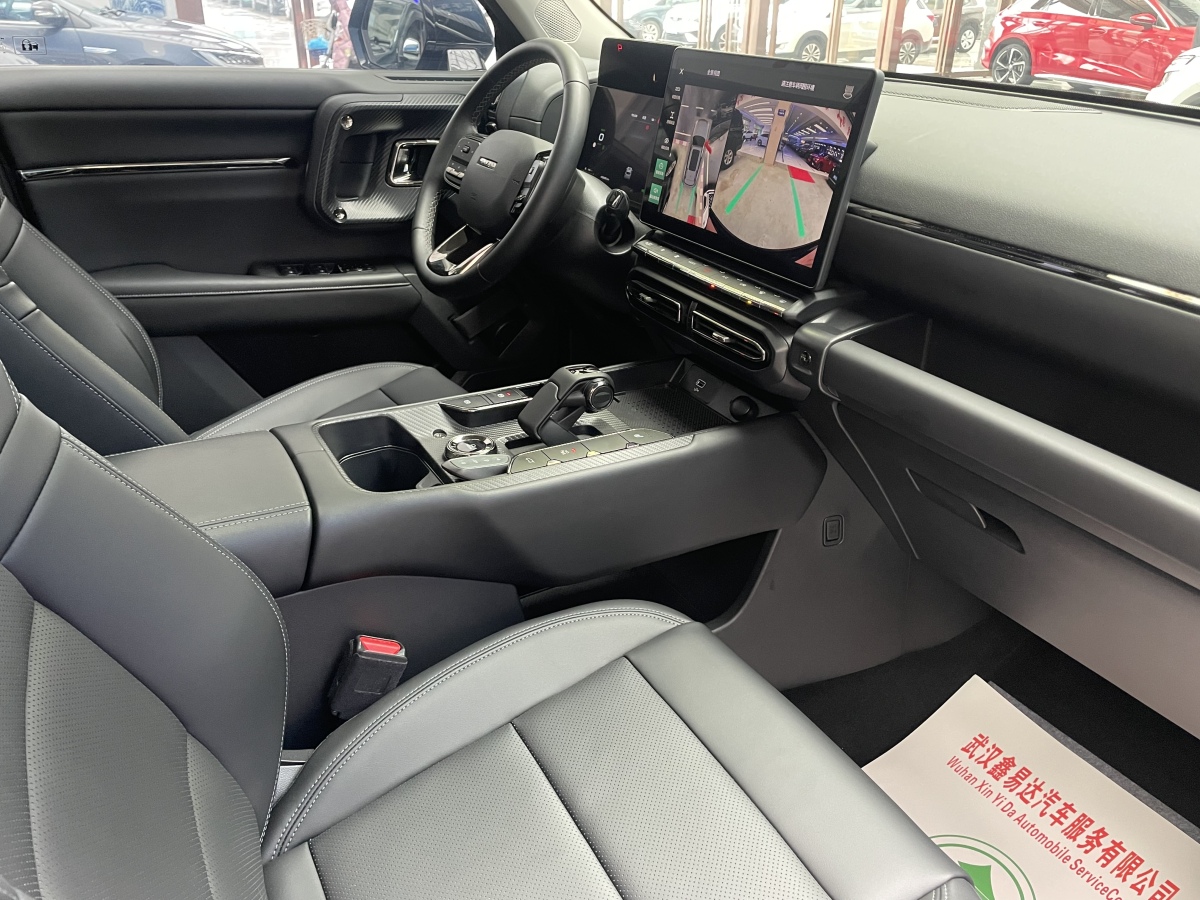 Haval X Dog 2 New Energy 2023 car image #14