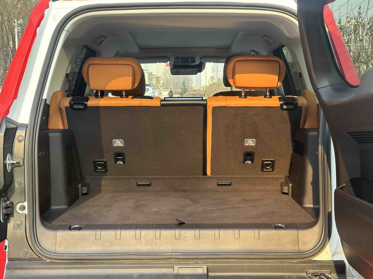 Tank 500 New Energy 2024 car image #14