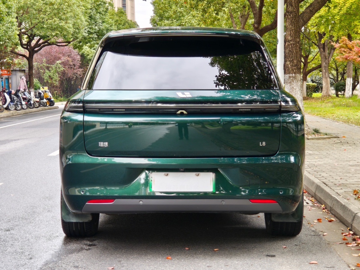 Li L8 2022 изображение автомобиля #14