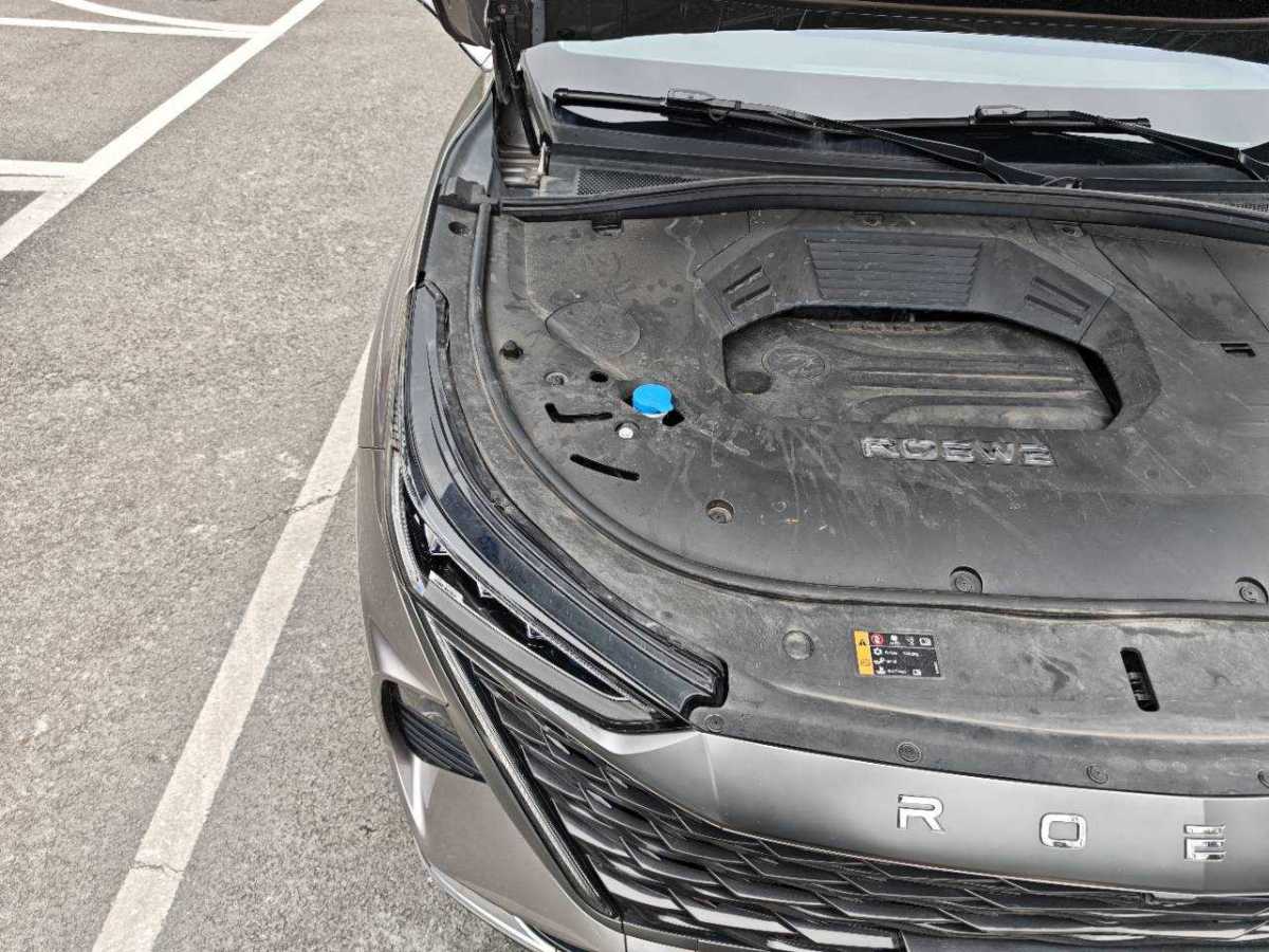 Roewe RX9 2024 imagen de coche #14