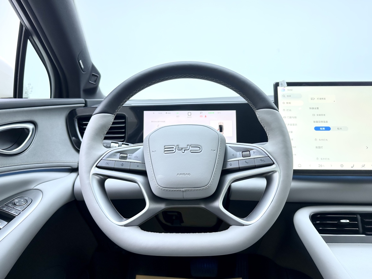 BYD Sea Lion 06 New Energy 2025 car image #14