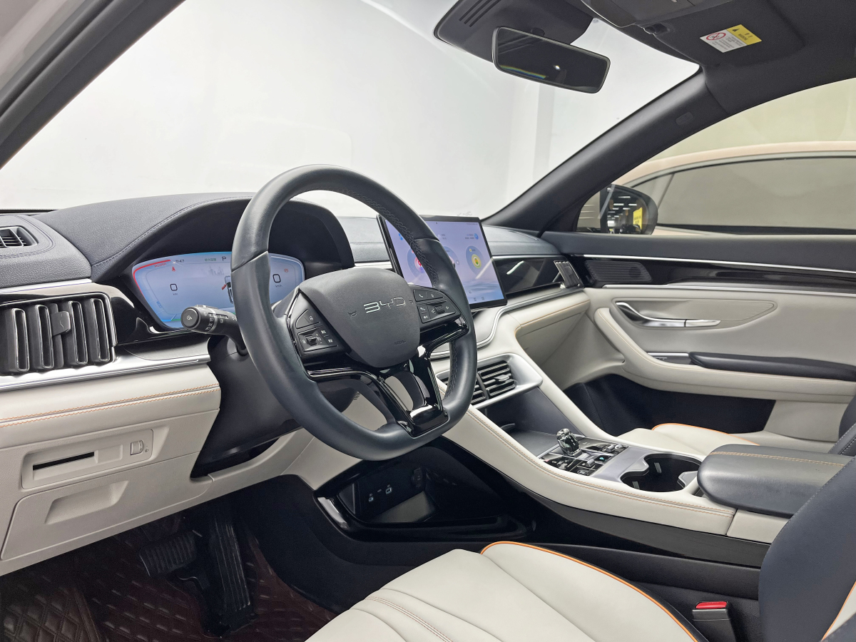 BYD Song Plus New Energy 2024 imagem de carro #14