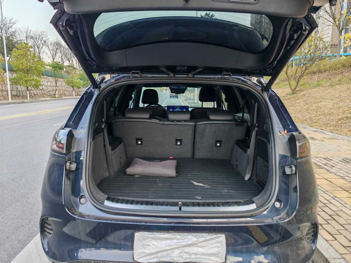 Denza X 2021 #14 Denza X 2021 car image #14