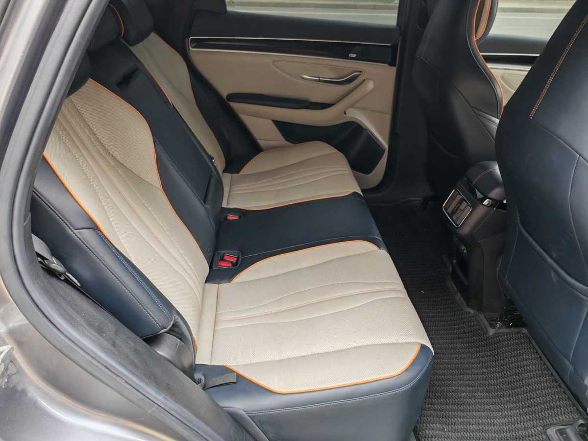 BYD Song Plus New Energy 2021 car image #14
