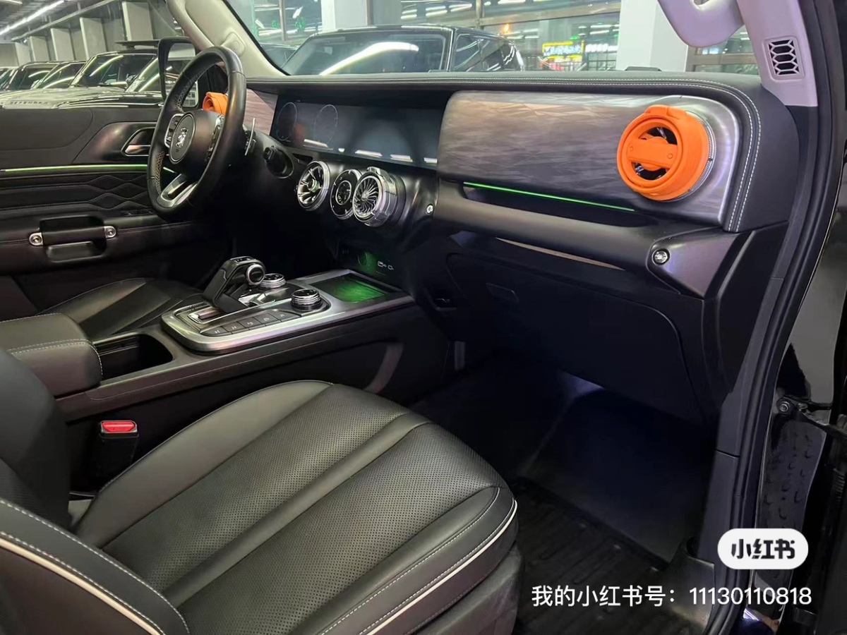 Tank 300 2022 car image #14