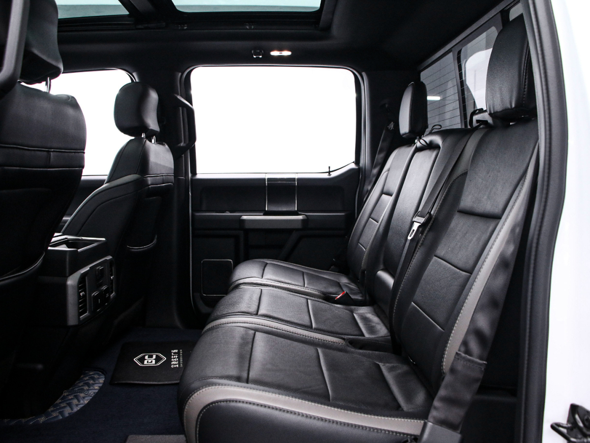 Ford F-150 Raptor 2019 car image #14