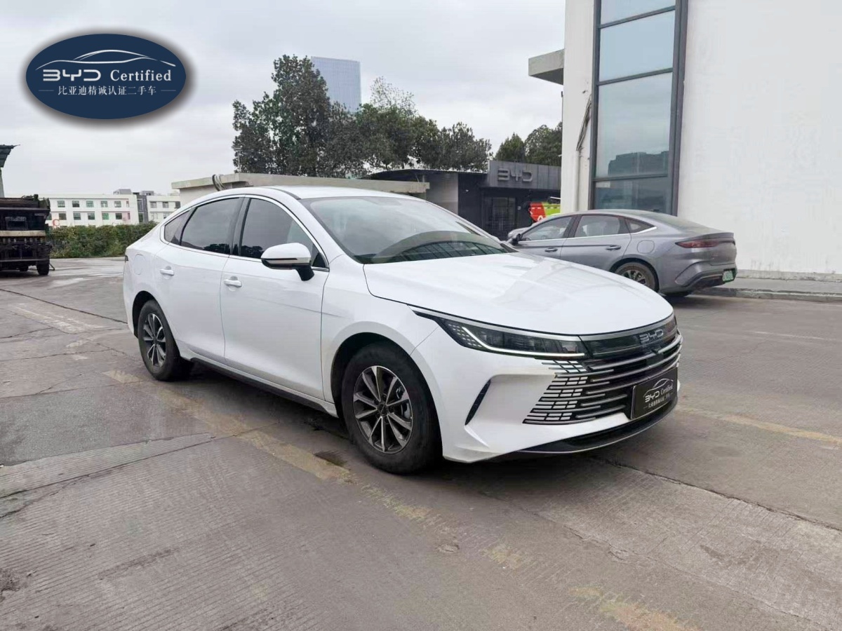 BYD Destroyer 05 2024 car image #14