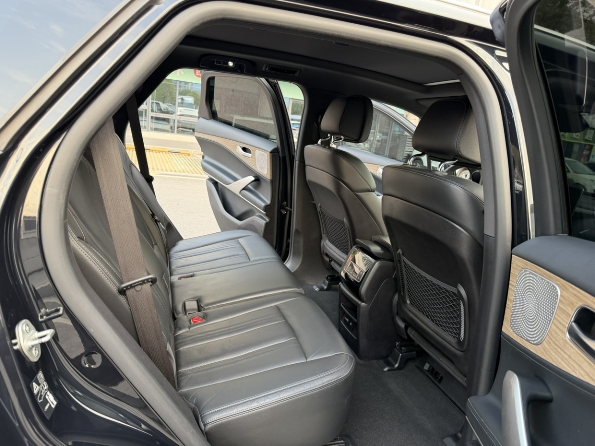 Denza X 2021 image de voiture #14