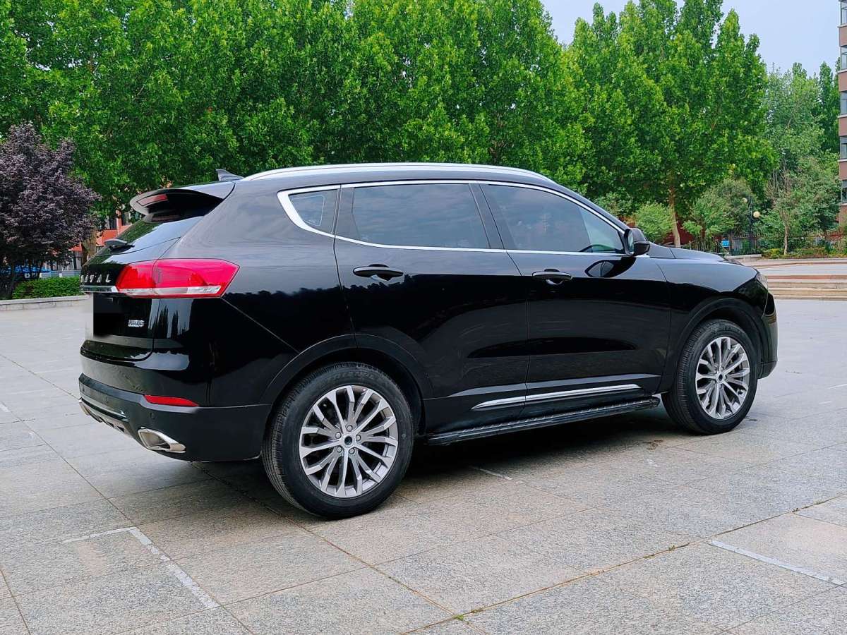 Haval 2019 car image #14