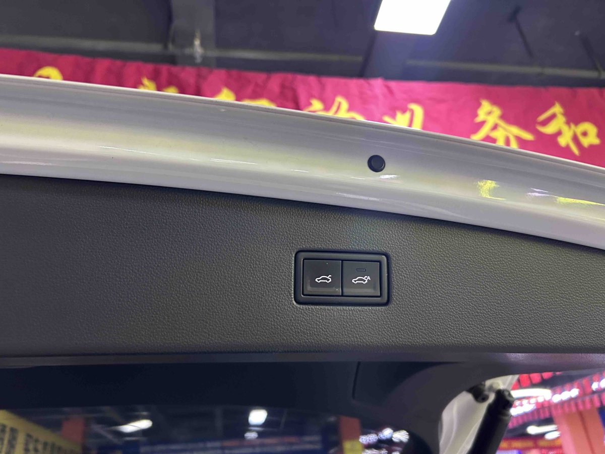 Volkswagen Tiguan X 2019 imagen de coche #14