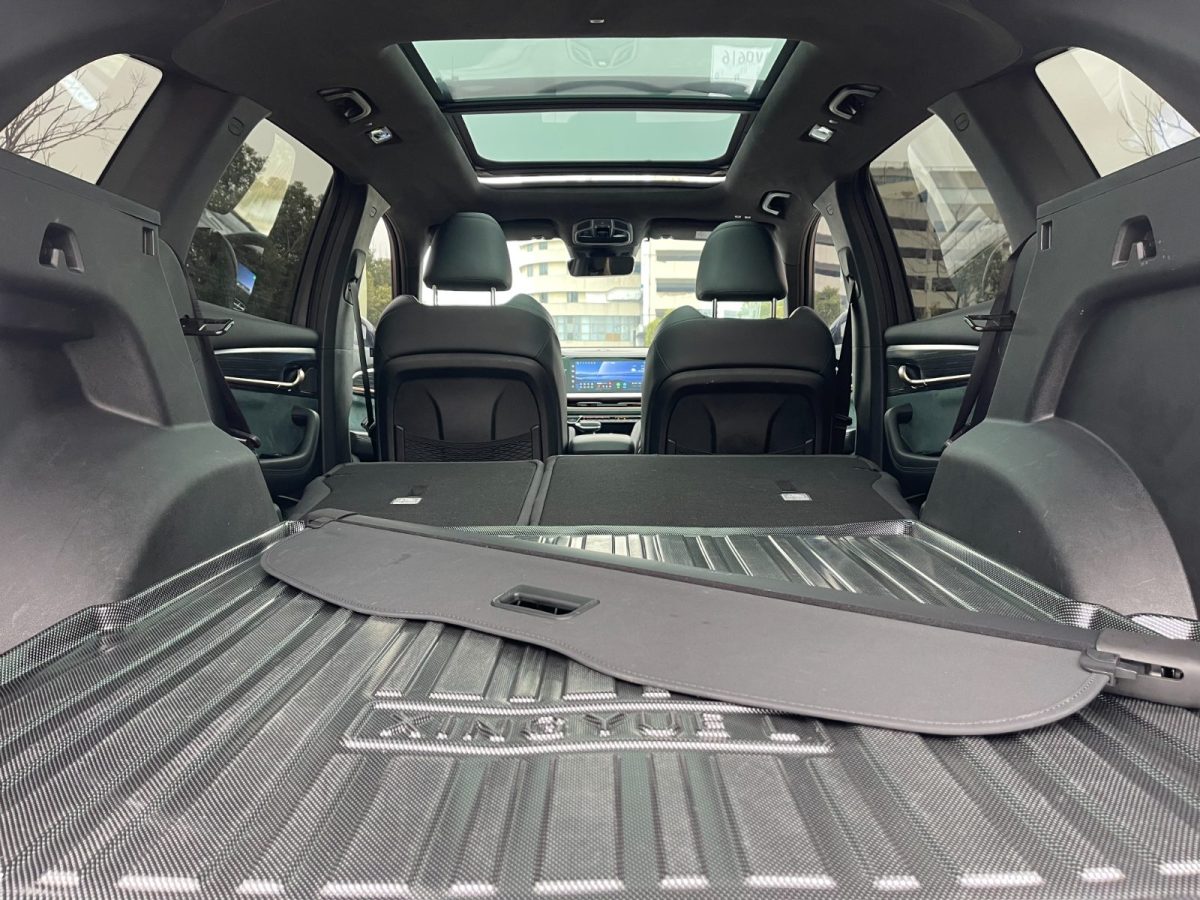 GEELY Monjaro 2022 immagine di auto #14