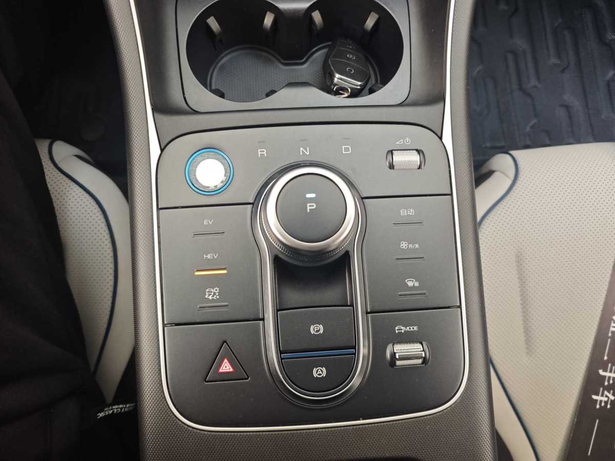 BYD Destroyer 05 2024 imagen de coche #14