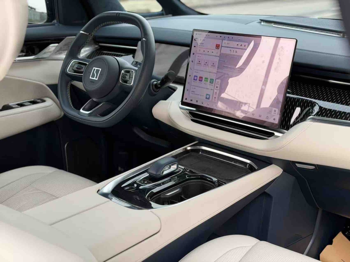 极氪 极氪009 2024 汽车图片 #14