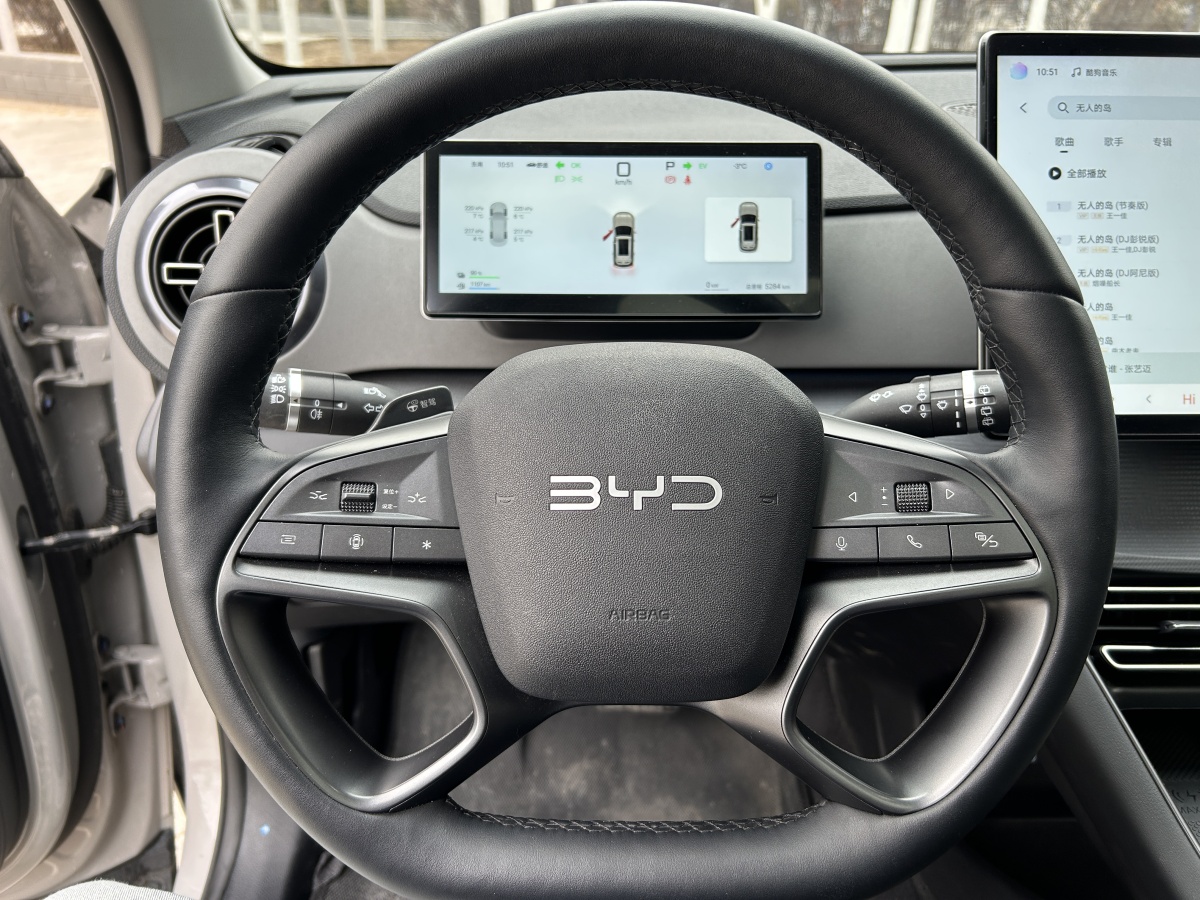 BYD Sea Lion 05 DM-i 2025 car image #14