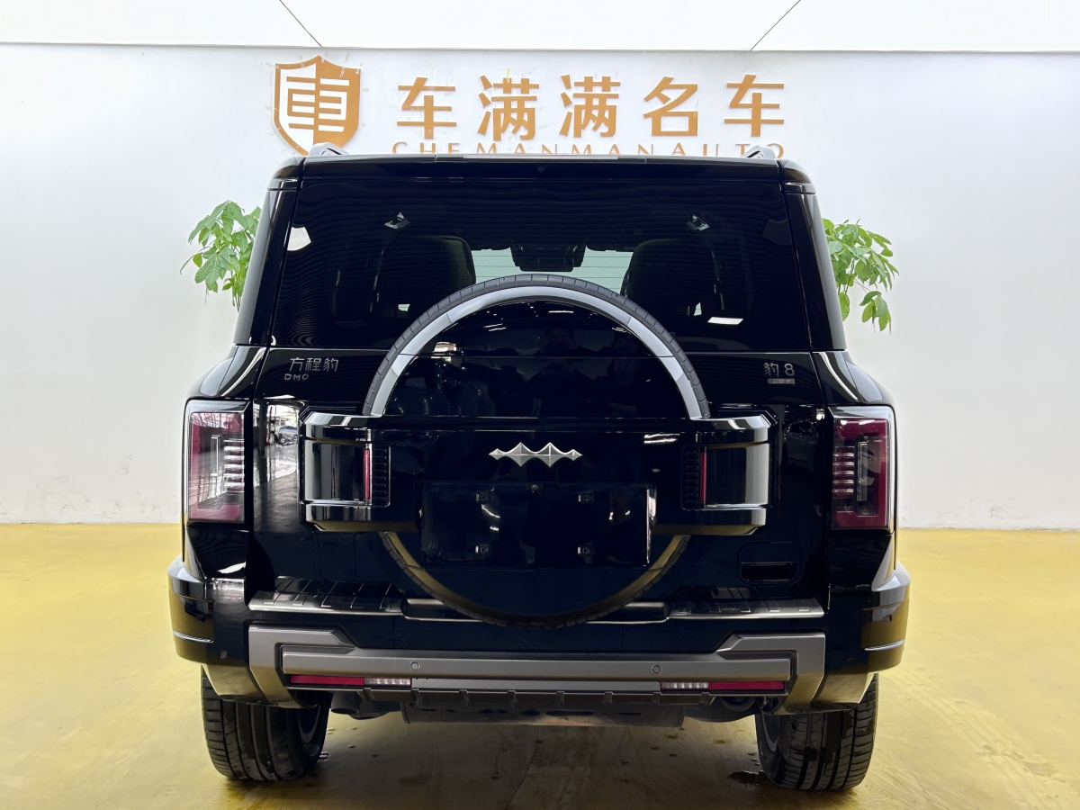 FangChengBao Leopard 8 2024 immagine di auto #14