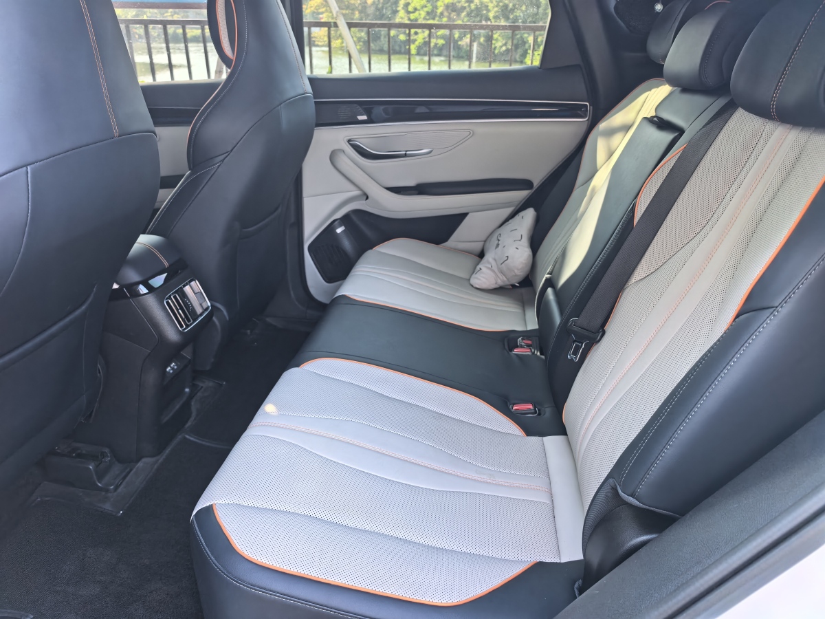 BYD Song Plus New Energy 2021 car image #14