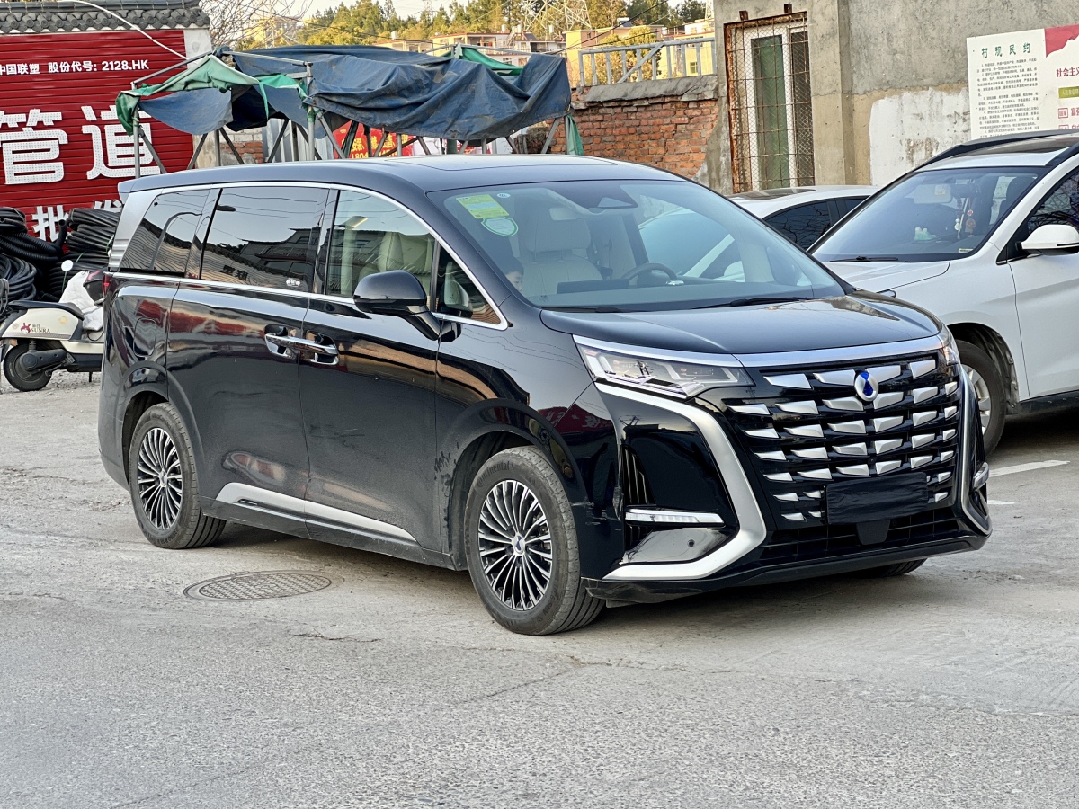 Denza D9 2023 image de voiture #14