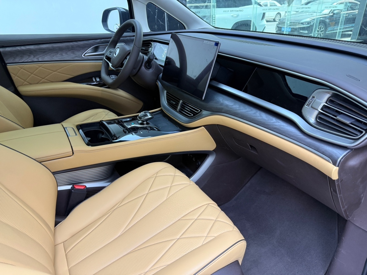 Denza D9 2024 immagine di auto #14